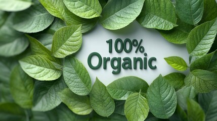 Green leaves framing 100 percent organic label promoting natural products