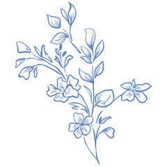 Line Art Blue Flower. Vector Illustration.