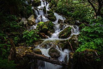 waterfall in the forest