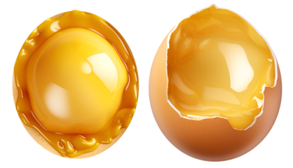 Close up of cracked egg with golden yolk and broken shell on transparent background