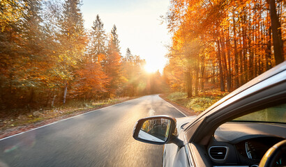 Car drive through road full of autumn leaves. Royalty high-quality free best stock of view from car, drives through scenic autumn forest with colorful trees, hands of car driver on steering wheel