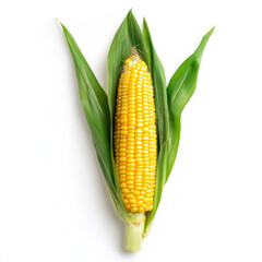 A single ear of yellow corn with green leaves isolated on a white background view