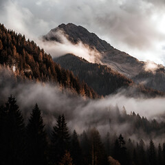 mountain landscape with fog
