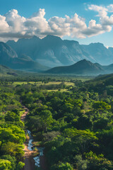 Obraz premium Enchanting Panorama of Lush Greenery in Tzaneen: Raw Elegance of Nature