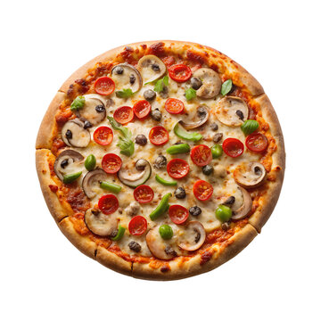 Free Domino's Pizza PNG logo transparent background image
