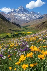 Obraz premium Mountain Peak Above Green Valley. Wild Flowers Bloom. Colorful Meadow Under a Bright Blue Sky. Cloud Shadows the Valley.
