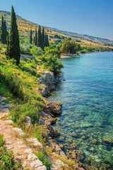 Obraz premium Coastal Scene. Shoreline with Green Trees Meets Clear Blue Water. Rocks and Greenery Edge Path. Bright Sunny Day Over Quiet Nature.