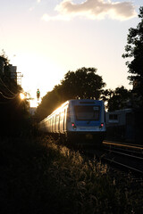 Train in sunset