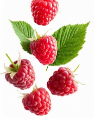 Dynamic Shot of Flying Ripe Juicy Raspberries with Leaves Isolated on White Background
