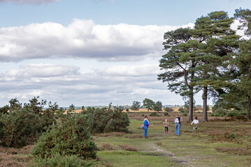A group of people walking amongst nature