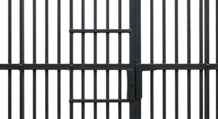 prison bars