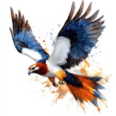 Fototapeta premium Graceful watercolor haliaetus bird clipart illustration for design projects and creative artwork.
