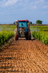 Fototapeta premium tractor spraying sulphate on the vineyard