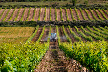 preparing the vineyards for sulfate application