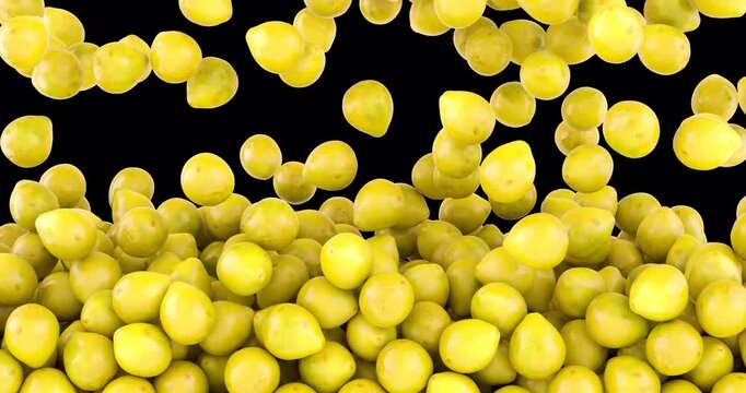 Pomelo falling and fill the screen. 3D animation on transparent background