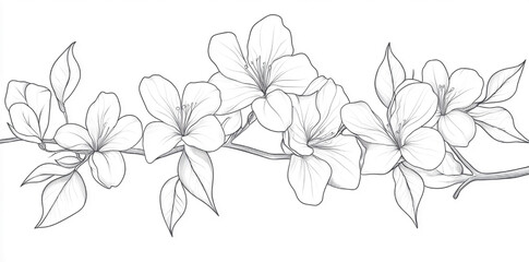 AdoModern Floral Element Design in Hand-Drawn Style
be Illustrator Artwork