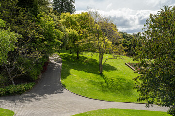 botanical garden path in springtime in australia