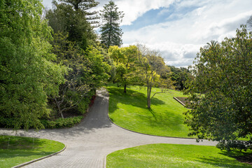 old couple walking with a little dog on a path in a park by the forest. elderly couple in love in australia in spring. cement path