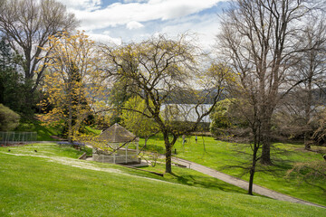 Fototapeta premium old couple walking with a little dog on a path in a park by the forest. elderly couple in love in australia in spring. cement path