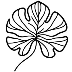 One line taro leaf silhouette