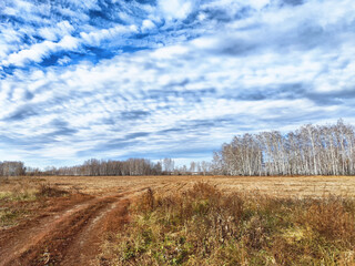 Serene landscape with rolling clouds over a grassy field in autumn light