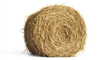 Stunning Round Hay Bale in Side Angle with Intricate Details, High-Resolution Studio Shot of Rolled Straw Layers Isolated on White for Creative Projects and Agriculture Images