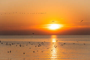 sunset on the sea