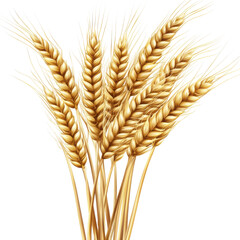 Golden Wheat Ears Ripe Harvest Agriculture Farm Grain Cereal Food Nature Background