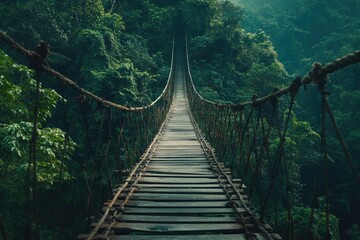 Fototapeta premium A Suspended Wooden Bridge Connecting Two Lush Green Forests in a Mystical Setting
