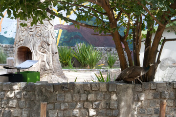 C&oacute;rdoba, Argentina