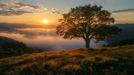 Obraz premium A golden sunrise over a mountain range, mist rolling through the valleys, creating a peaceful and majestic scene. 