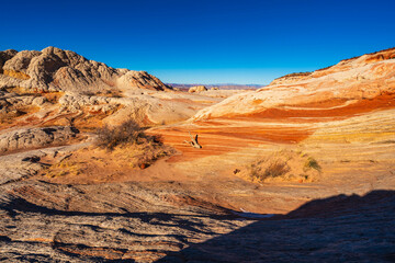 Exploring the Vibrant and Rugged Terrain of Vermillion Cliffs National Monument in Arizona