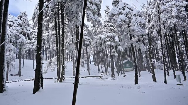 Kashmir Winter snowfall in Patnitop JKTDC cottages