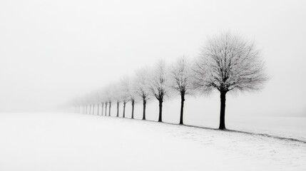 Obraz premium snowy landscape with trees copy space.