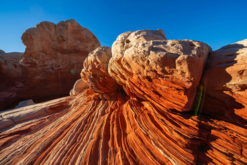 Explore the Vibrant Rock Formations of White Pocket in the Vermilion Cliffs National Monument in Arizona USA