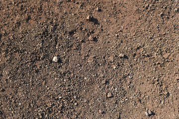 Background with earth, dirt and ground 