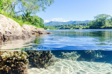 Obraz premium In the depths of an emerald sanctuary, a river whispers secrets untold, its waters so pristine they mirror the heavens above Sunlight dances upon the surface, illuminating a world unseen by ordinary
