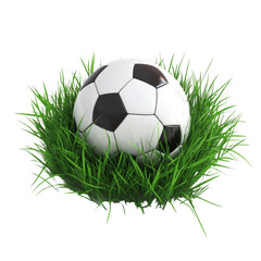 Soccer ball in green grass a vibrant sports image,