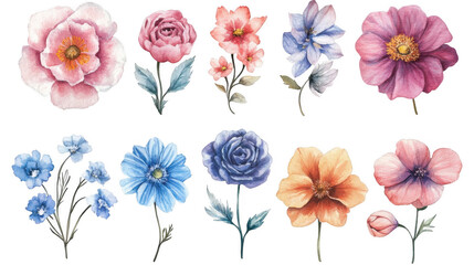 Beautiful Hand-Drawn Floral Illustrations for Design Projects