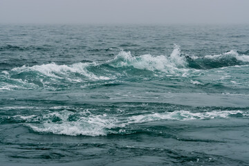 潮流に寄せて砕ける波 20250301-2