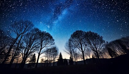 Fototapeta premium 幻想的な星星が輝く夜空と、木々のシルエット