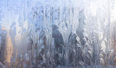 Blue Frost Background, Closeup Frozen Winter Window Pane Coated Shiny Icy Frost Patterns, Extreme...