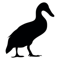Animals duck Silhouette Vector Illustration