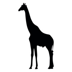 Animals giraffe Silhouette Vector Illustration