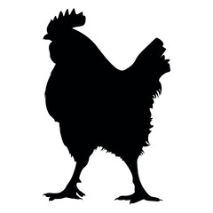 Animals hen Silhouette Vector Illustration