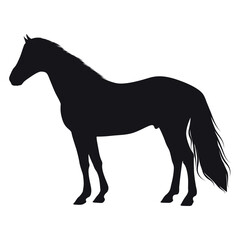 Animals horse Silhouette Vector Illustration