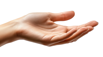 Open Palm: A close-up view of an outstretched human hand, palm up, offering or receiving something, conveying concepts such as giving, helping, or support.