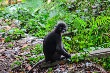Paisajes de Tailandia 