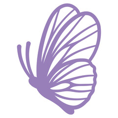 Purple Butterfly