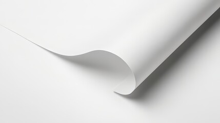 Curled White Paper